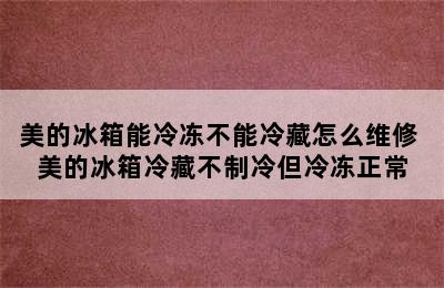 美的冰箱能冷冻不能冷藏怎么维修 美的冰箱冷藏不制冷但冷冻正常